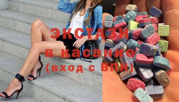 амф Ельня