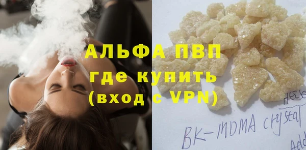 СК Елабуга