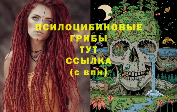 СК Елабуга