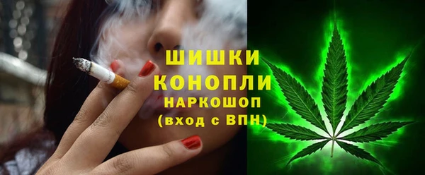 амф Ельня