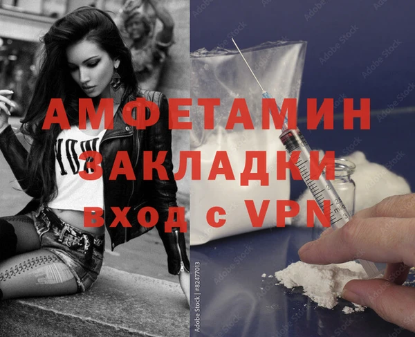 амф Ельня