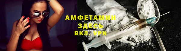 амф Ельня