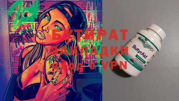 амф Ельня
