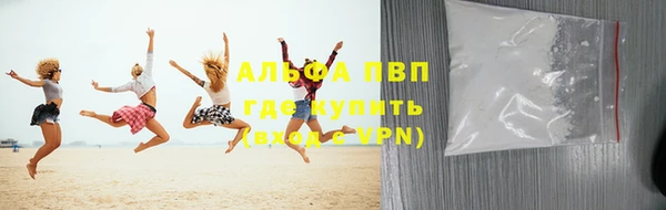 амф Ельня