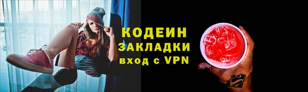 амф Ельня