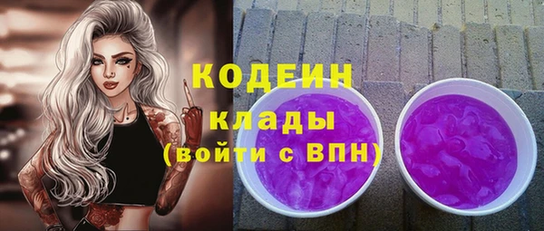 амф Ельня