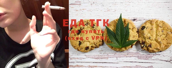 амф Ельня