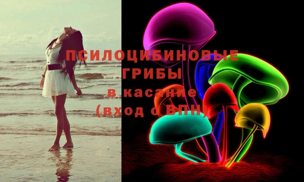 соль ск Елизово