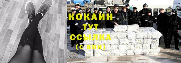 соль ск Елизово