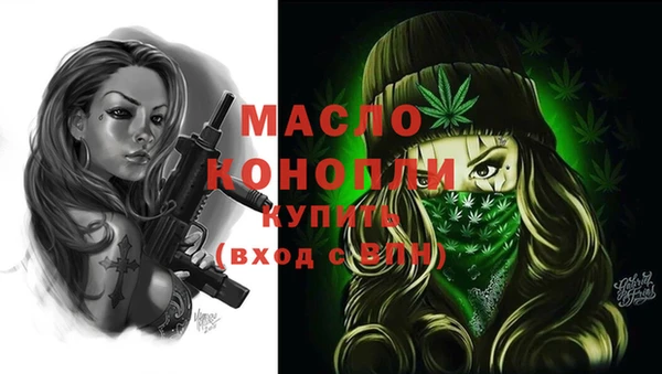 амф Ельня