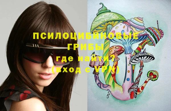 амф Ельня