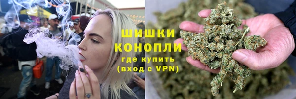 амф Ельня