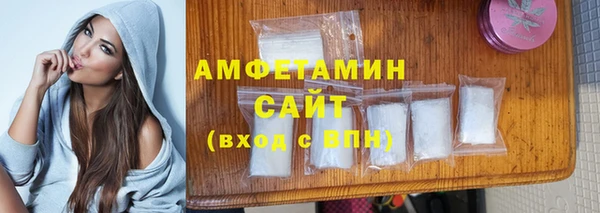 амф Ельня